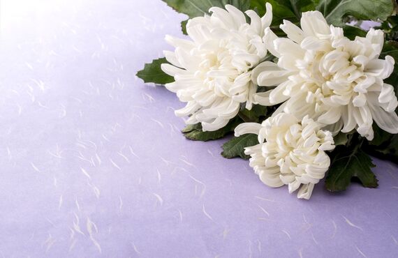 業務支援アプリとコンサルを葬儀社向けにご提案 | 革新的なリモート業務の導入支援をする株式会社イチ・サン・ゴ